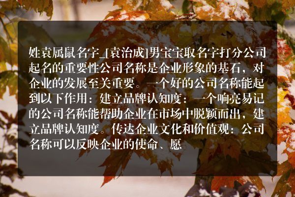 姓袁属鼠名字_[袁治成]男宝宝取名字打分