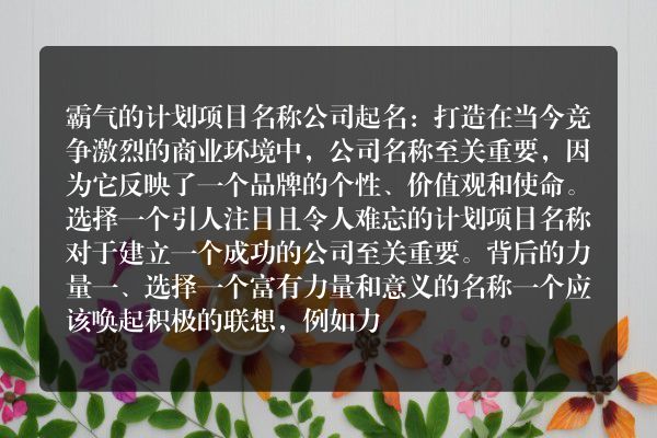 霸气的计划项目名称