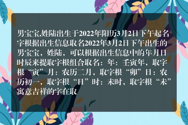 男宝宝,姓陆出生于2022年阳历3月2日下午起名字