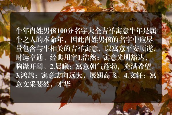 牛年肖姓男孩100分名字