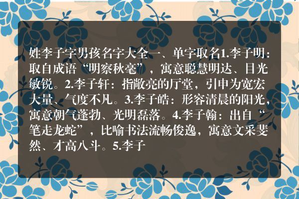 姓李子字男孩名字