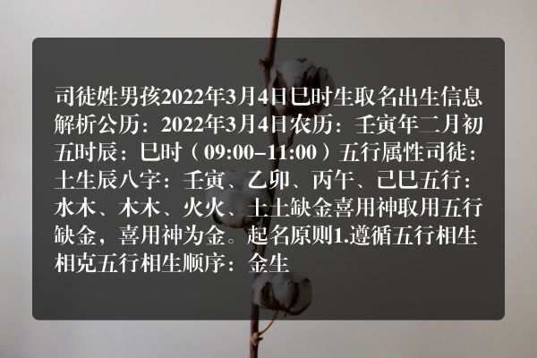 司徒姓男孩2022年3月4日巳时生取名