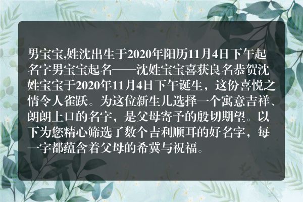 男宝宝,姓沈出生于2020年阳历11月4日下午起名字