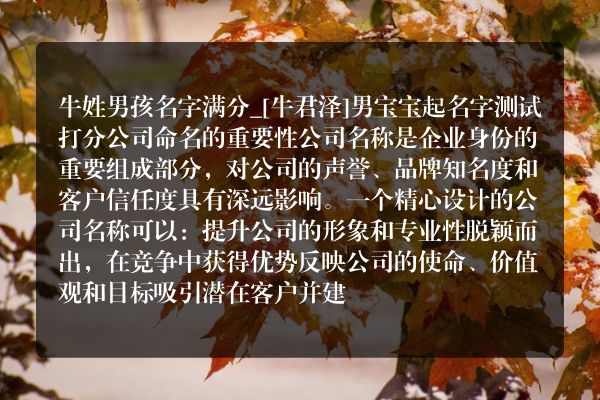 牛姓男孩名字满分_[牛君泽]男宝宝起名字测试打分