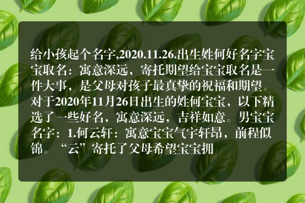 给小孩起个名字,2020.11.26.出生姓何好名字