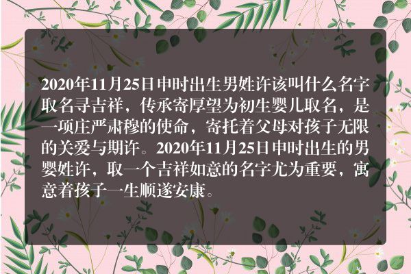 2020年11月25日申时出生男姓许该叫什么名字