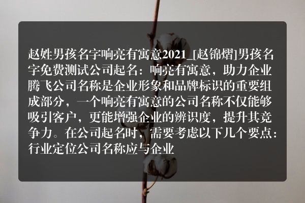 赵姓男孩名字响亮有寓意2021_[赵锦熠]男孩名字免费测试