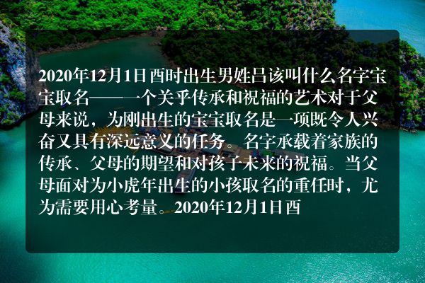 2020年12月1日酉时出生男姓吕该叫什么名字