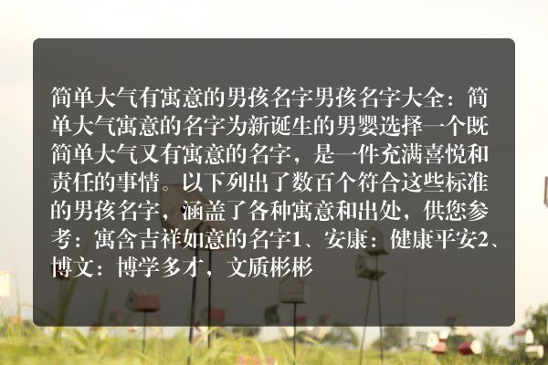 简单大气有寓意的男孩名字