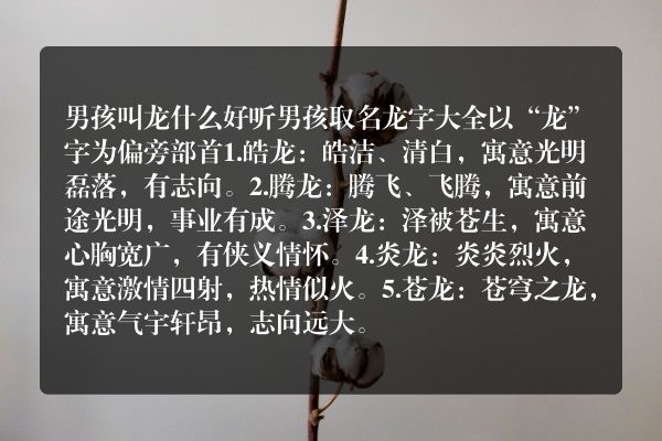 男孩叫龙什么好听