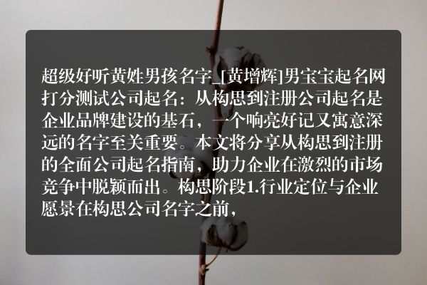 超级好听黄姓男孩名字_[黄增辉]男宝宝起名网打分测试