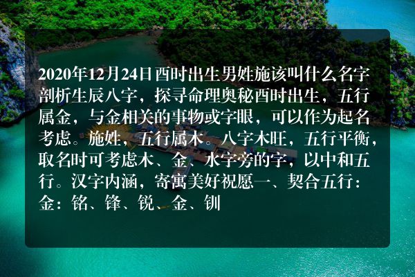 2020年12月24日酉时出生男姓施该叫什么名字