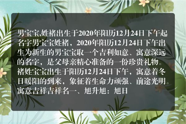 男宝宝,姓褚出生于2020年阳历12月24日下午起名字