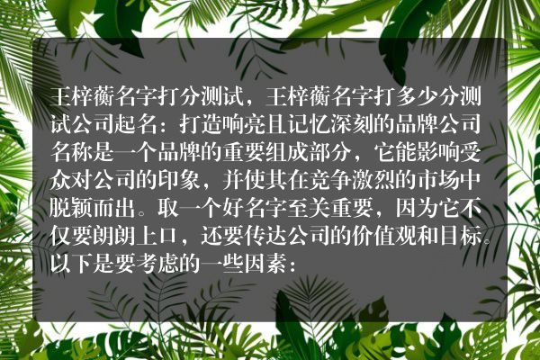 王梓蘅名字打分测试，王梓蘅名字打多少分测试