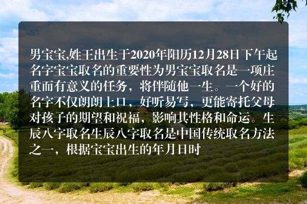 男宝宝,姓王出生于2020年阳历12月28日下午起名字