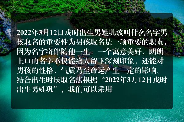 2022年3月12日戊时出生男姓巩该叫什么名字