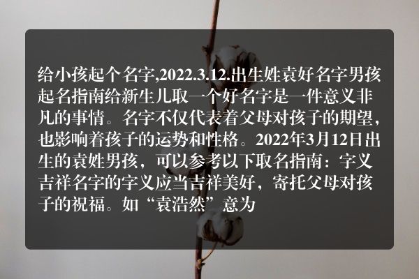 给小孩起个名字,2022.3.12.出生姓袁好名字