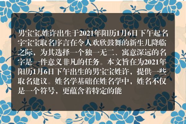 男宝宝,姓许出生于2021年阳历1月6日下午起名字