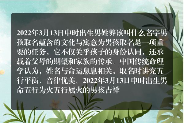 2022年3月13日申时出生男姓养该叫什么名字