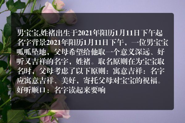 男宝宝,姓褚出生于2021年阳历1月11日下午起名字