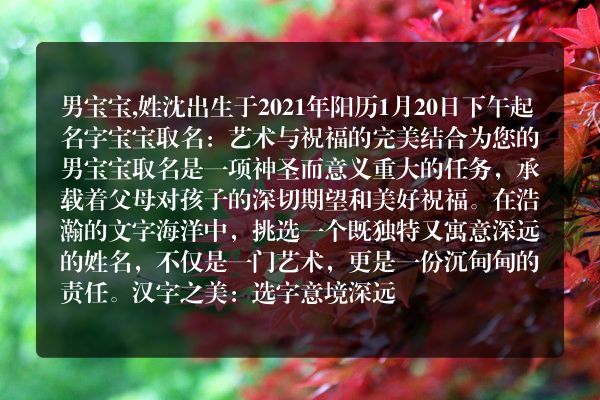 男宝宝,姓沈出生于2021年阳历1月20日下午起名字