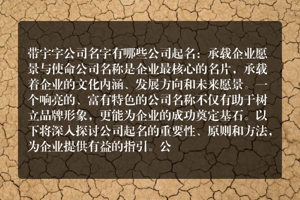 带宇字公司名字有哪些