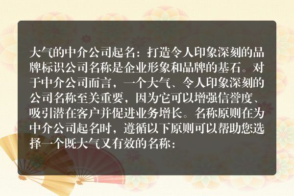 大气的中介公司起名