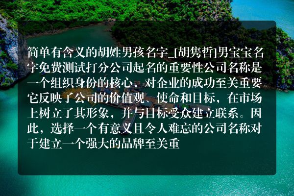 简单有含义的胡姓男孩名字_[胡隽哲]男宝宝名字免费测试打分