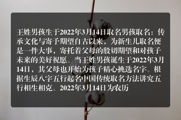 王姓男孩生于2022年3月14日取名