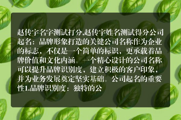 赵传宇名字测试打分,赵传宇姓名测试得分