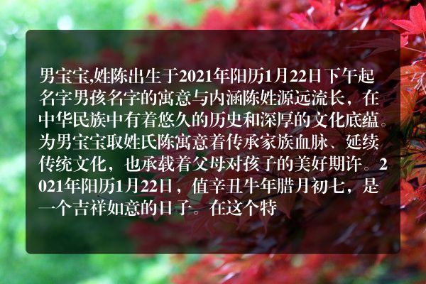 男宝宝,姓陈出生于2021年阳历1月22日下午起名字