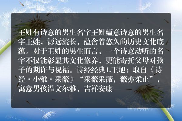 王姓有诗意的男生名字