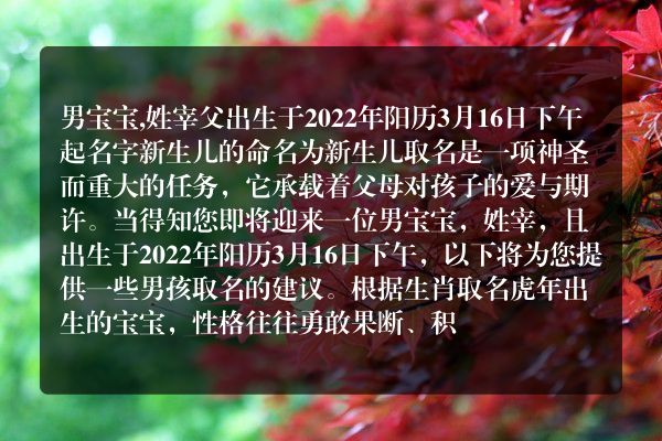 男宝宝,姓宰父出生于2022年阳历3月16日下午起名字