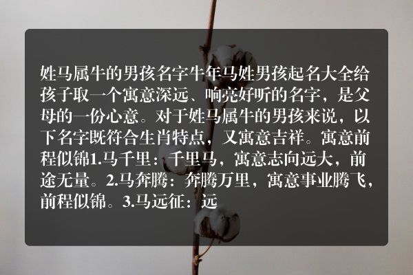 姓马属牛的男孩名字