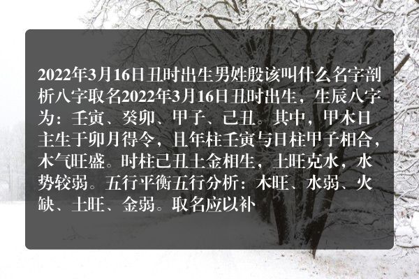 2022年3月16日丑时出生男姓殷该叫什么名字