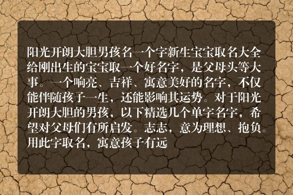 阳光开朗大胆男孩名一个字