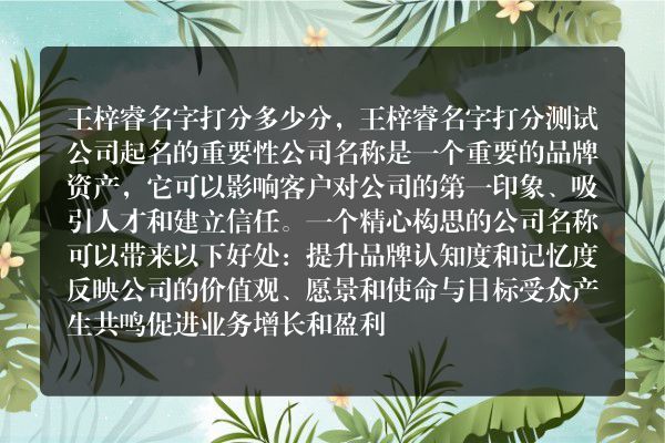 王梓睿名字打分多少分，王梓睿名字打分测试