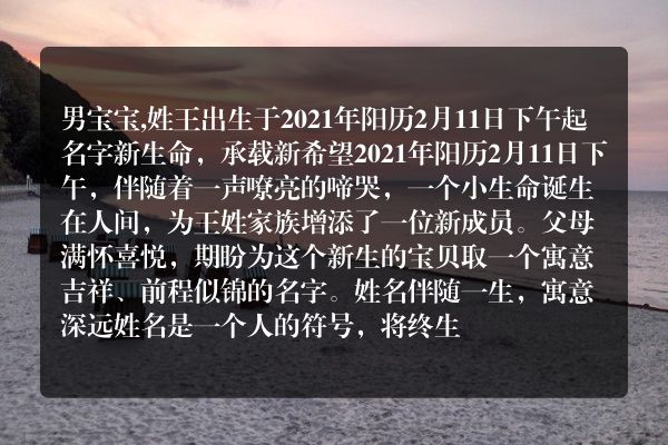 男宝宝,姓王出生于2021年阳历2月11日下午起名字