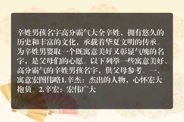 辛姓男孩名字高分霸气