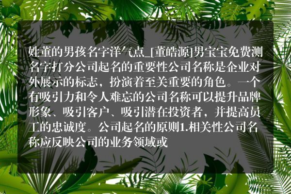 姓董的男孩名字洋气点_[董皓源]男宝宝免费测名字打分