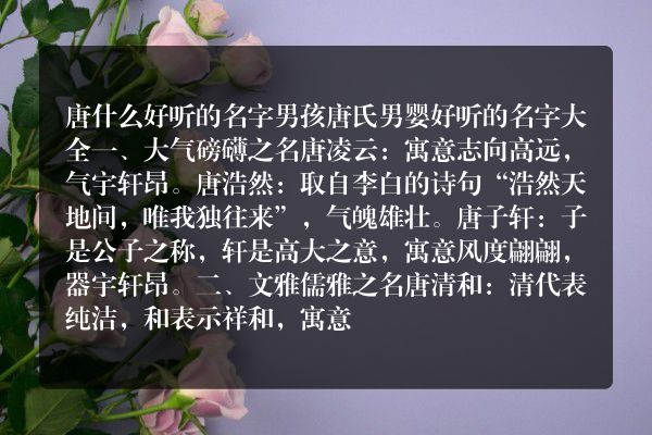 唐什么好听的名字男孩