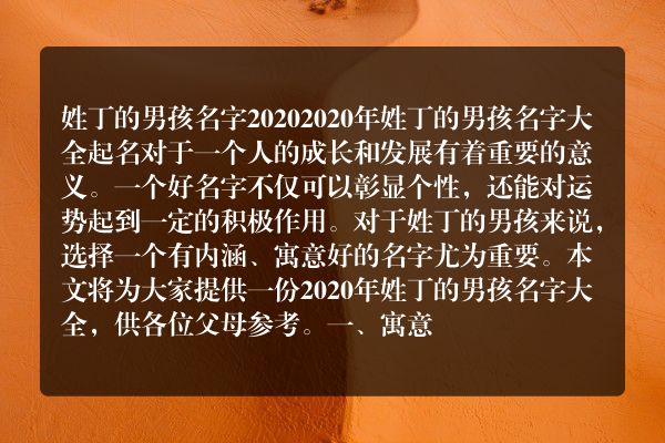 姓丁的男孩名字2020