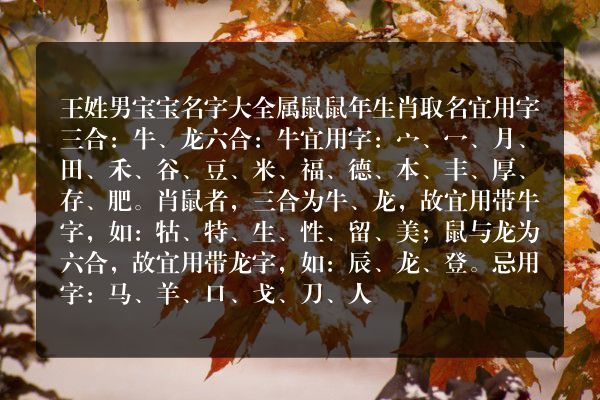 王姓男宝宝名字大全属鼠