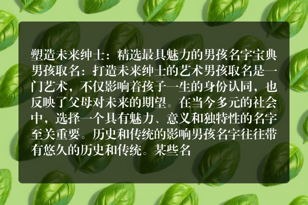 塑造未来绅士：精选最具魅力的男孩名字宝典