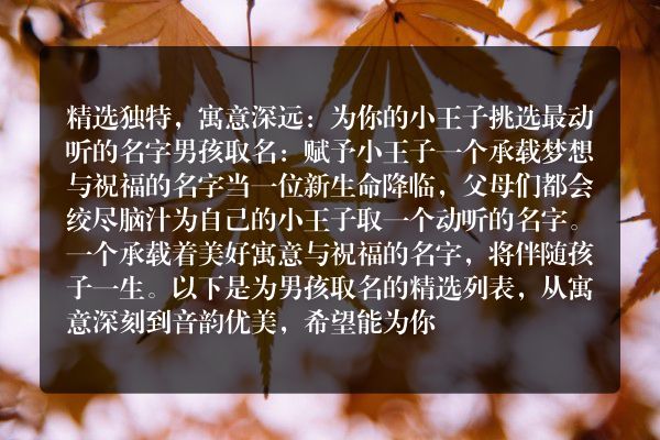 精选独特，寓意深远：为你的小王子挑选最动听的名字