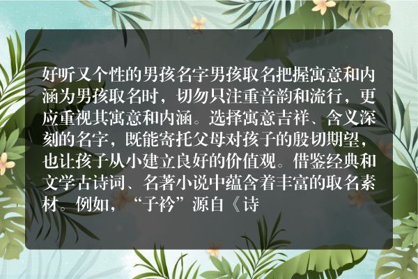 好听又个性的男孩名字