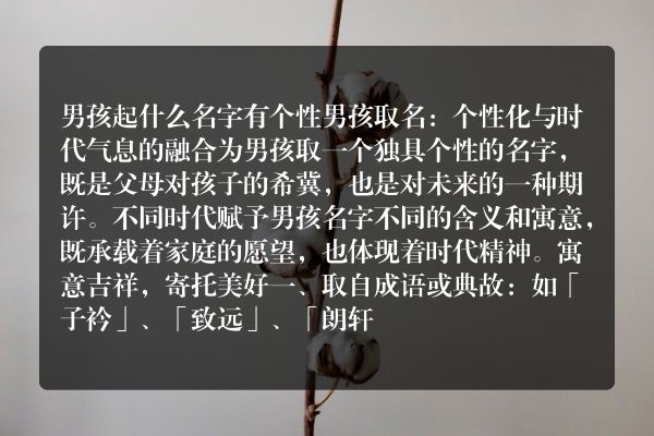 男孩起什么名字有个性