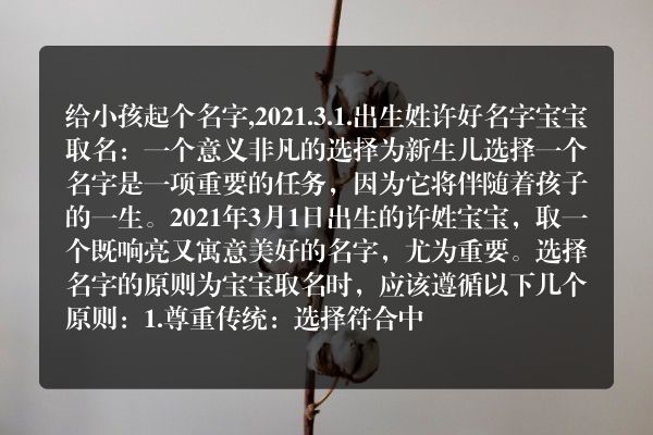 给小孩起个名字,2021.3.1.出生姓许好名字