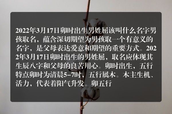 2022年3月17日卯时出生男姓屈该叫什么名字