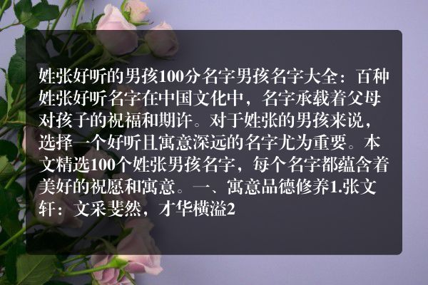 姓张好听的男孩100分名字